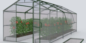 Парники для дачи: ТОП-13 лучших моделей для вашего огорода
