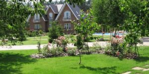 Газон своими руками: пошаговая инструкция и виды укладки