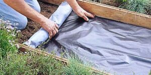 Обустройство дорожек между грядками на даче своими руками